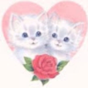 Meet your Posher, Nargenty